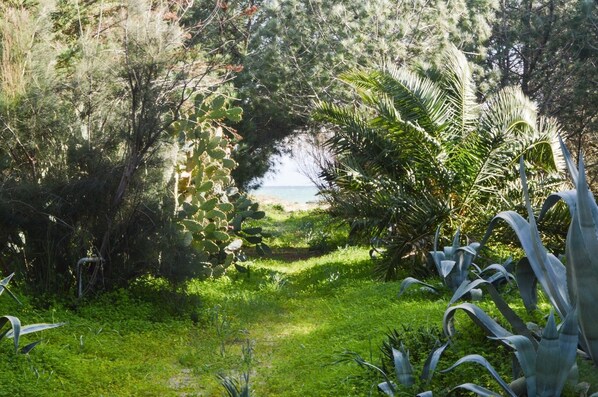 Terrein van de accommodatie