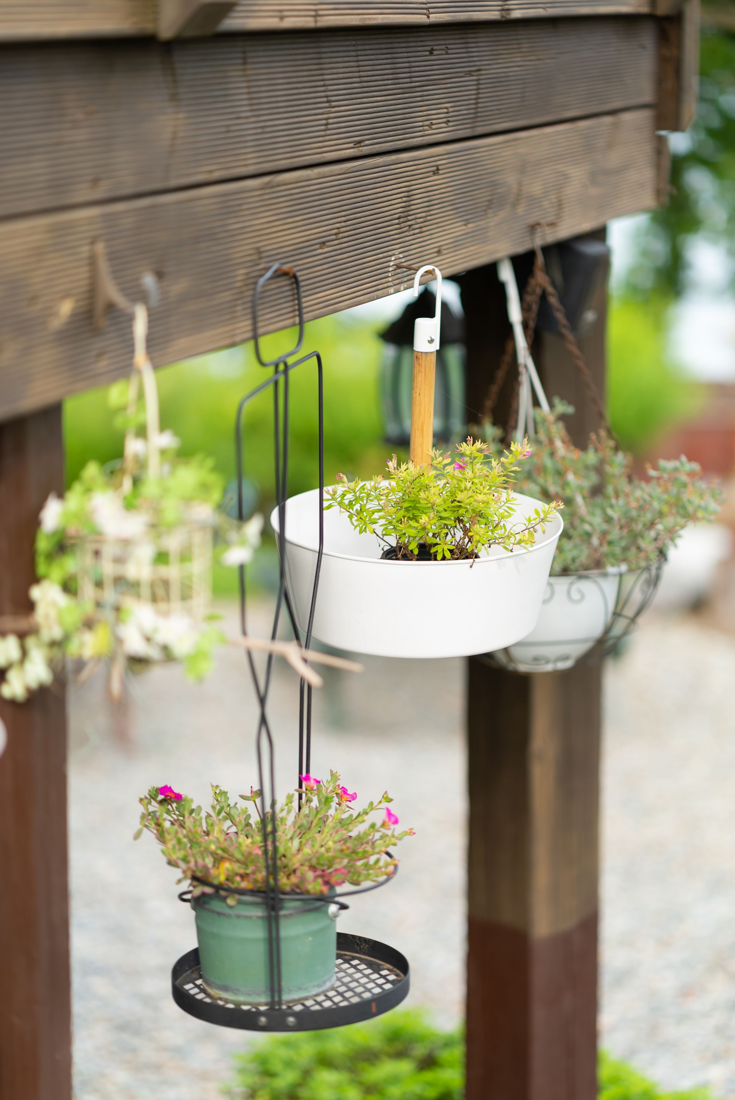 A wooden structure with hanging planters containing various plants.