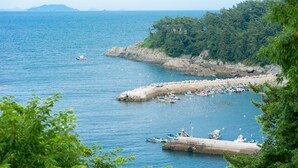 Una marina costiera con imbarcazioni ormeggiate, circondata da un terreno roccioso e una vegetazione lussureggiante.
