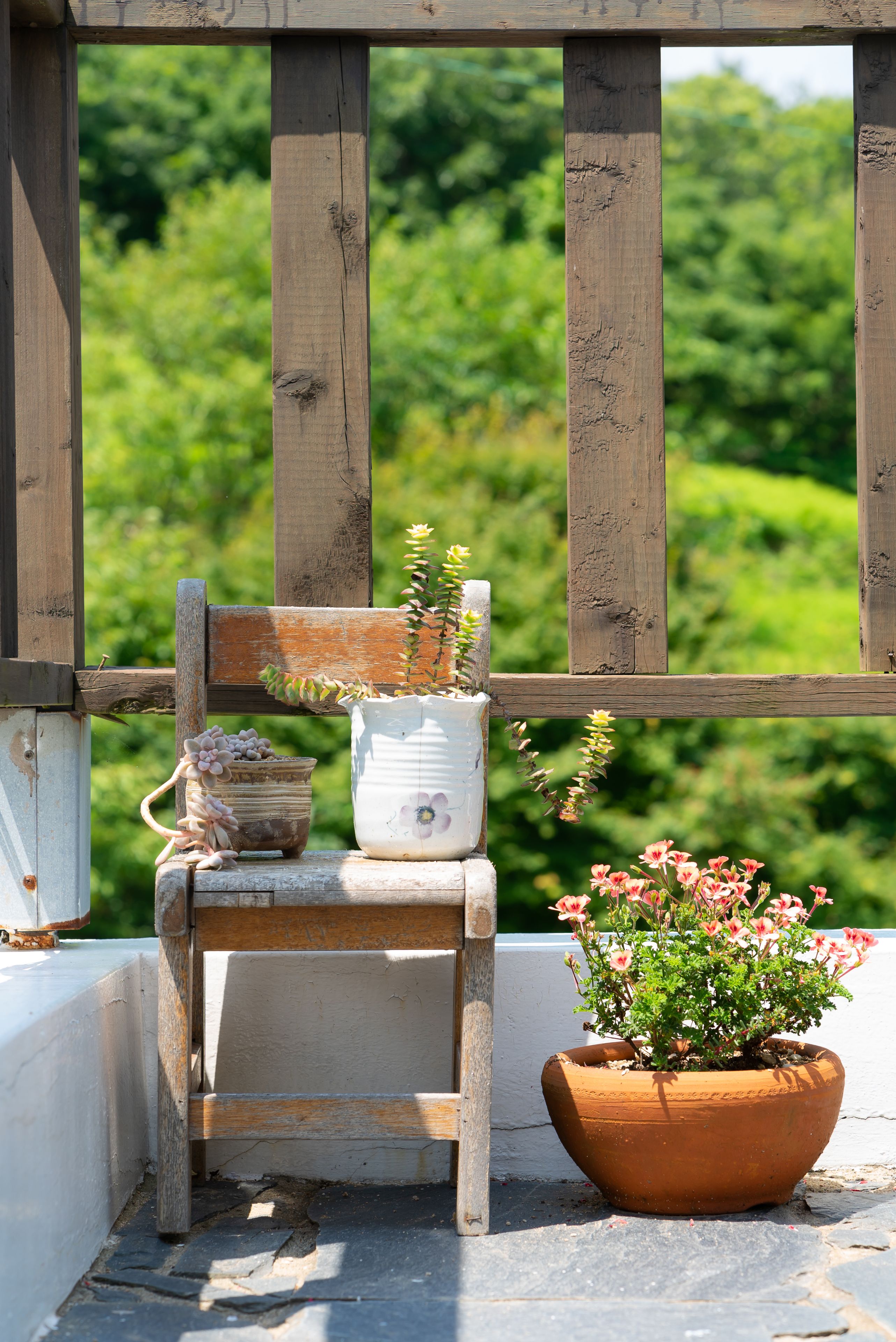 A rustic wooden chair and a terracotta pot with flowers on a balcony.