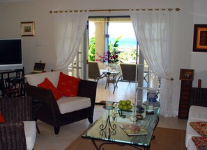 Smart TV, DVD player, livros, biblioteca musical