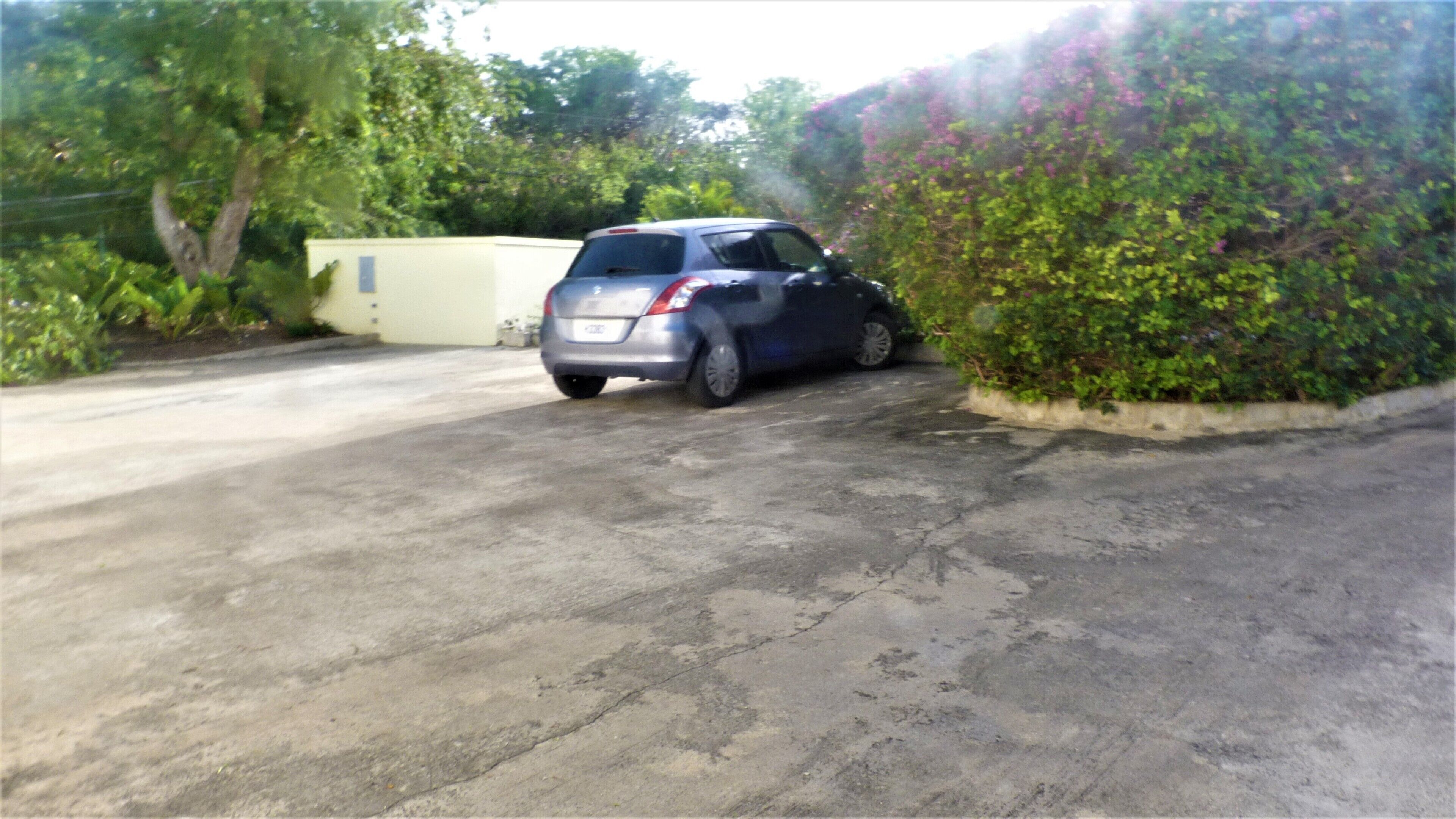 A car parked in a driveway with a concrete surface, surrounded by greenery and a white building in the background.