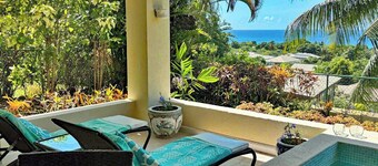  luxury apartment with plunge pool, (sole use) terrace and sea views