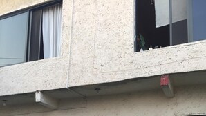 A two-story building with a balcony, potted plants, and a small garden area. - Nice house in bugambilias extension (Jiutepec)