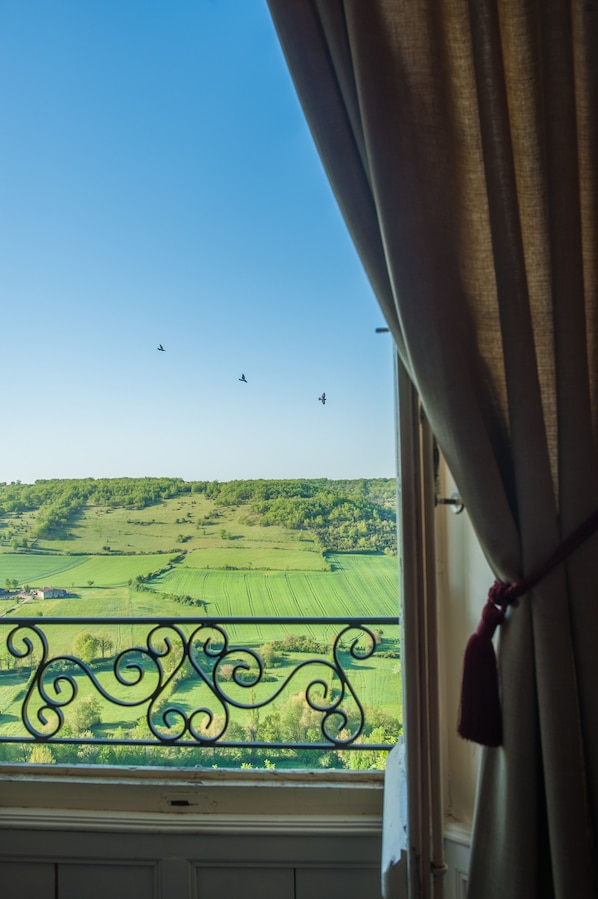 A view from a window with a metal railing, looking out over a green landscape with fields and a clear sky. - Hotel Raymond VII (Cordes-sur-Ciel)