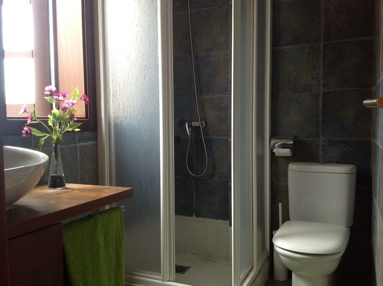 A bathroom with a shower, toilet, and a sink with a vase of flowers.
