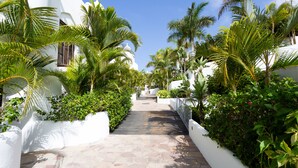A pathway flanked by white walls and lush greenery, leading to a building with a dome.