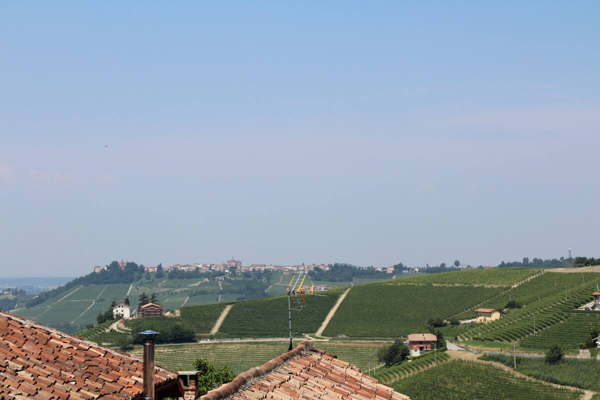 Weinlandschaft mit terrassenförmigen Feldern, einer entfernten Stadt und einem Gebäude mit Ziegeldach.