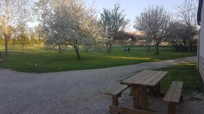 Property grounds - Ferme Passion (Saint-Trivier-sur-Moignans)