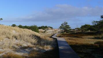En smal træpromenade gennem et naturlandskab med klitter og sparsom vegetation.