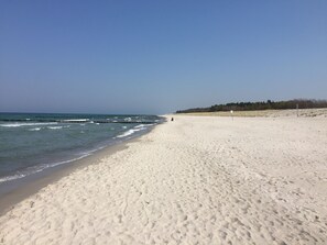 بالقرب من الشاطئ