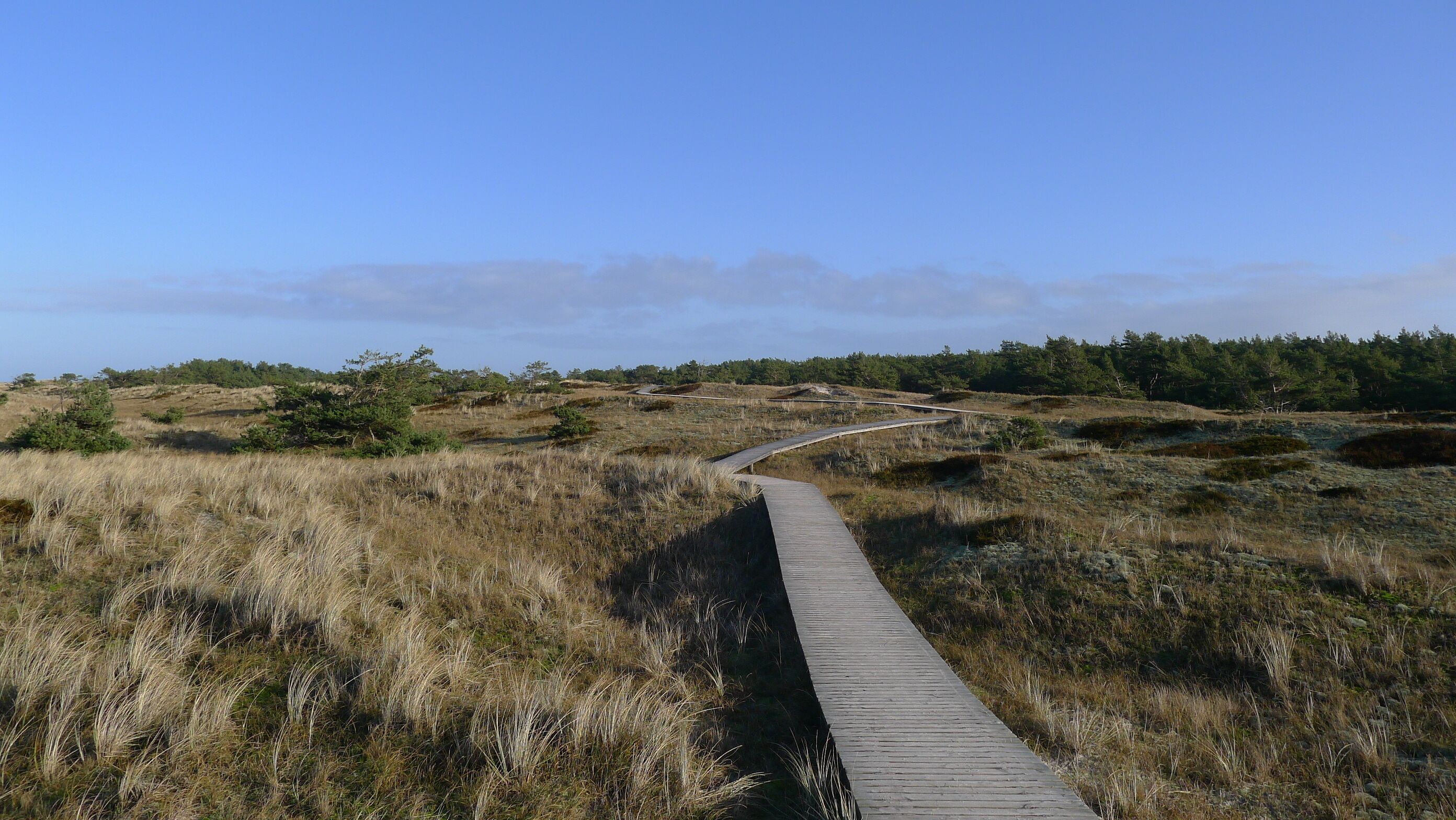 A wooden boardwalk through a natural landscape with grassy terrain and trees.