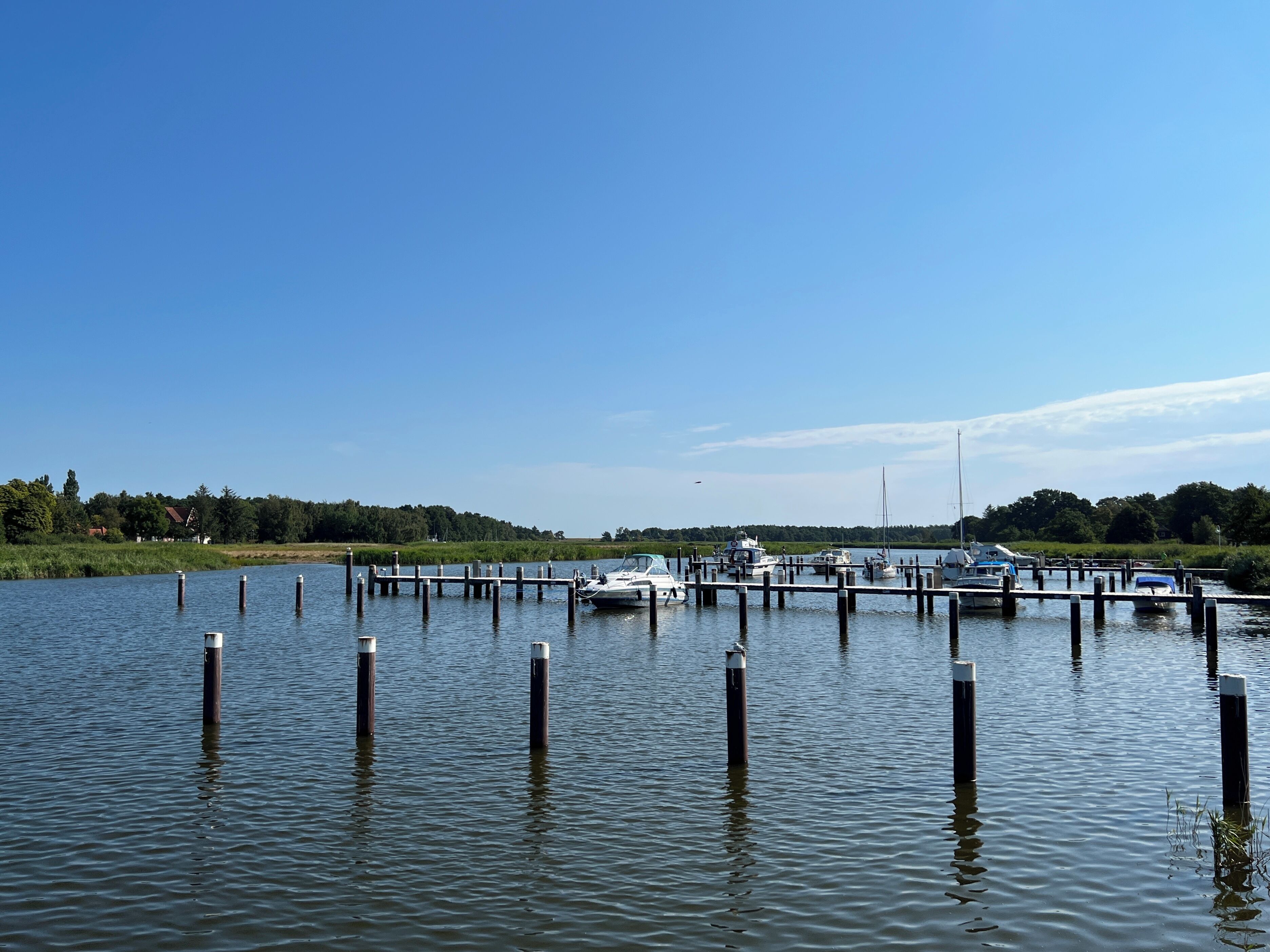 A marina with boats docked, wooden pilings in the water, and a clear sky.