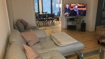 Smart TV, lareira, DVD player, livros