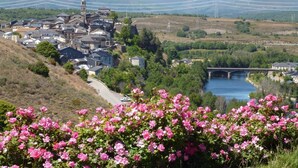 Une ville qui se distingue par son église imposante, un pont enjambant une rivière et une végétation luxuriante.
