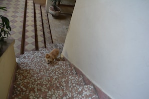 Entrada interior