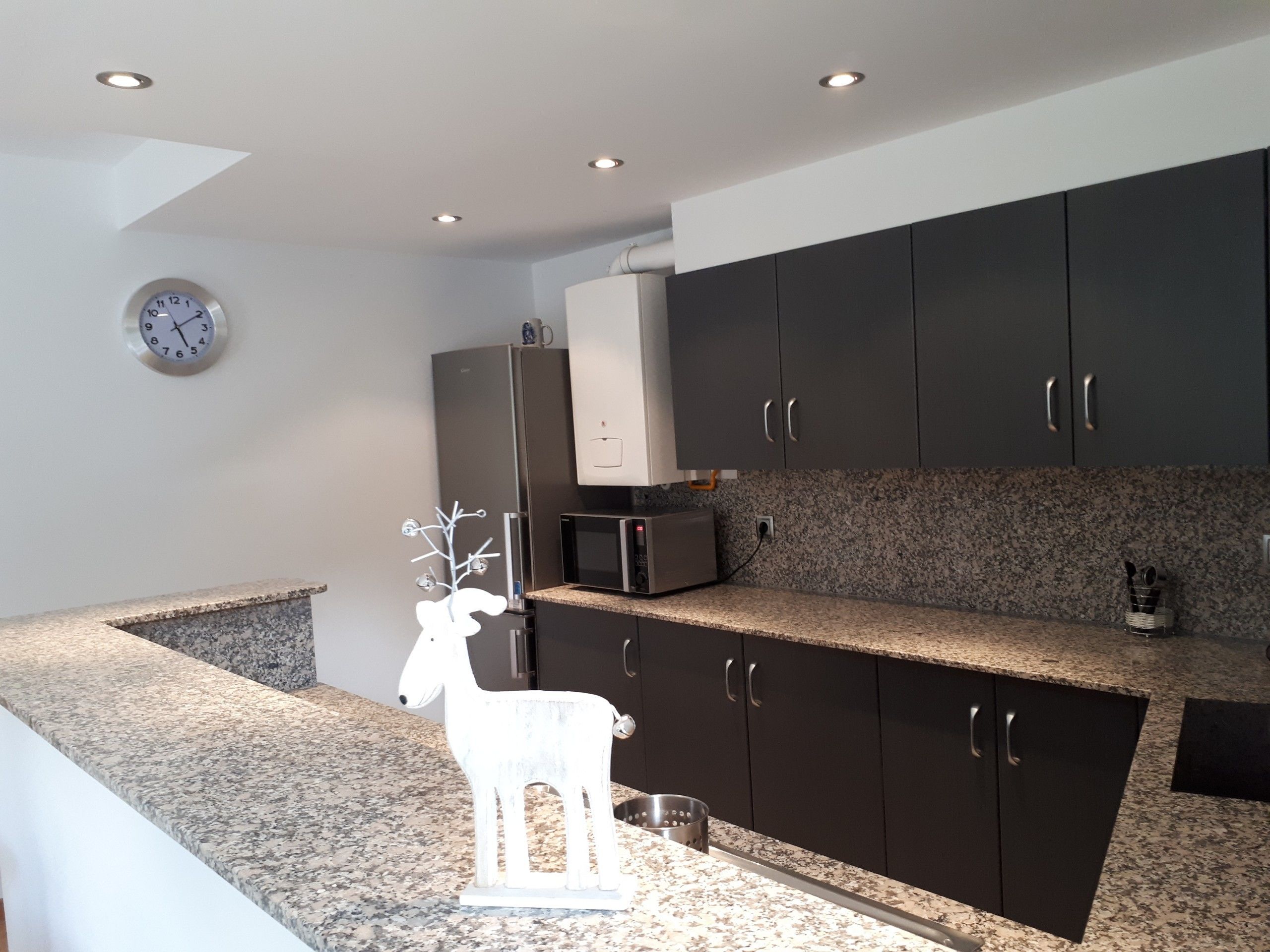 Appartement | Cuisine privée | Grand réfrigérateur, micro-ondes, four, lave-vaisselle