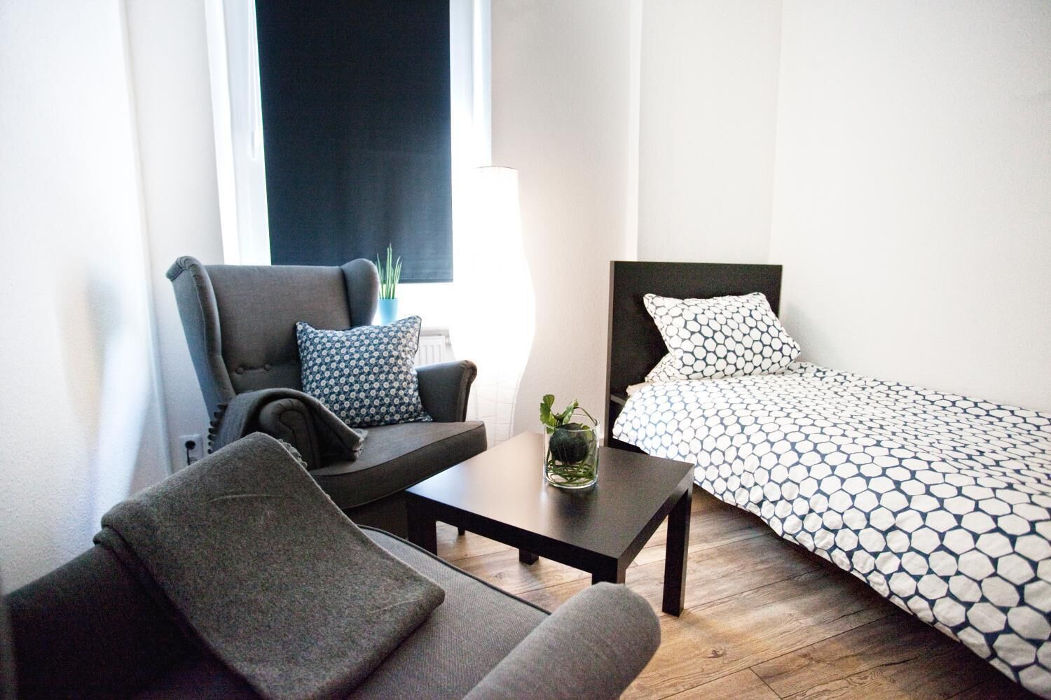 A modern room with a bed, a sofa, a small table, and a potted plant.
