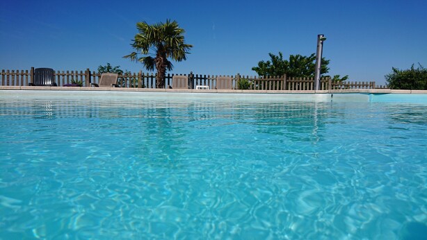 A clear swimming pool with a wooden fence and palm trees in the background. - Gîtes et Chambres d'Hôtes Peyrecout Tarn (Laparrouquial)