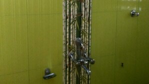 Un baño con paredes de azulejos verdes, un diseño vertical de bambú, una ducha con cabezal de ducha de mano y un inodoro con palanca de descarga.