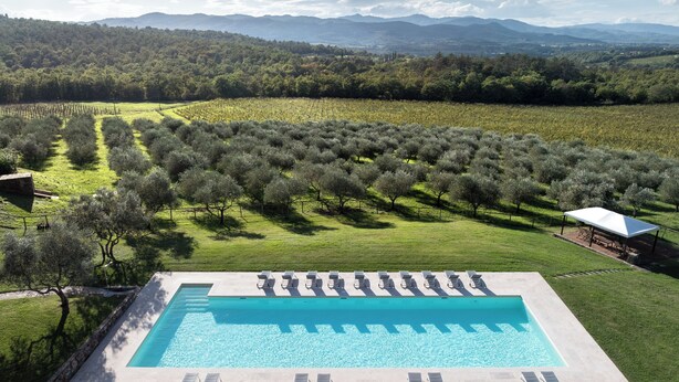 A pool with lounge chairs and umbrellas, surrounded by a vineyard and mountains in the background. - Borgo Iesolana Country Retreat (Bucine)