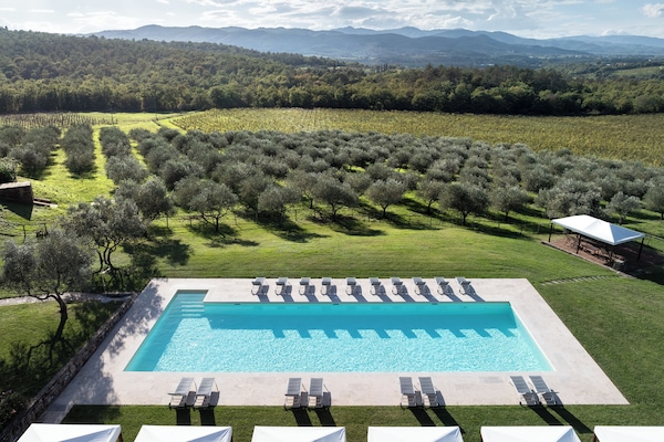 Sesongbasert utendørsbasseng og solsenger