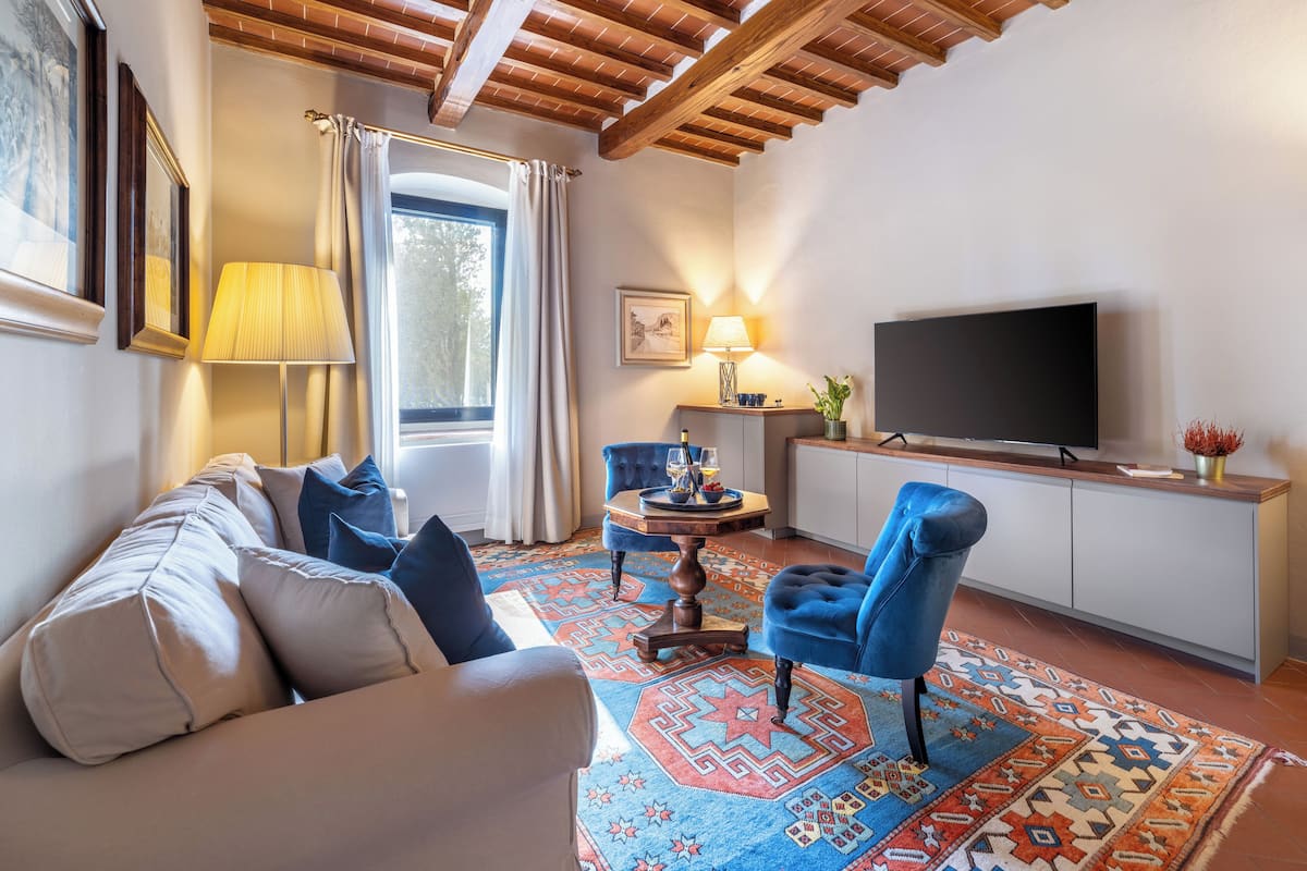 A living room with a sofa, a blue chair, a TV, and a patterned rug.