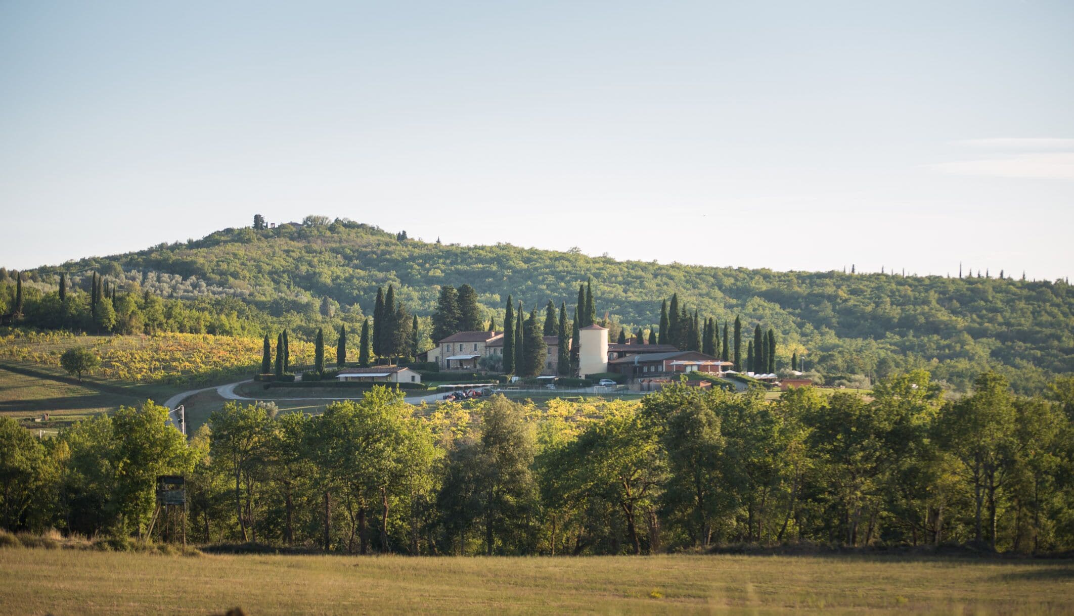 Paesaggio rurale con una collina, alberi e un complesso edilizio con diverse strutture.