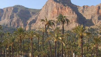 A desert landscape with palm trees and a large rocky mountain in the background.