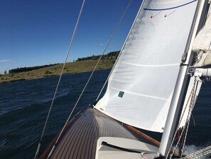 Unclassified image, 4 of 9, button