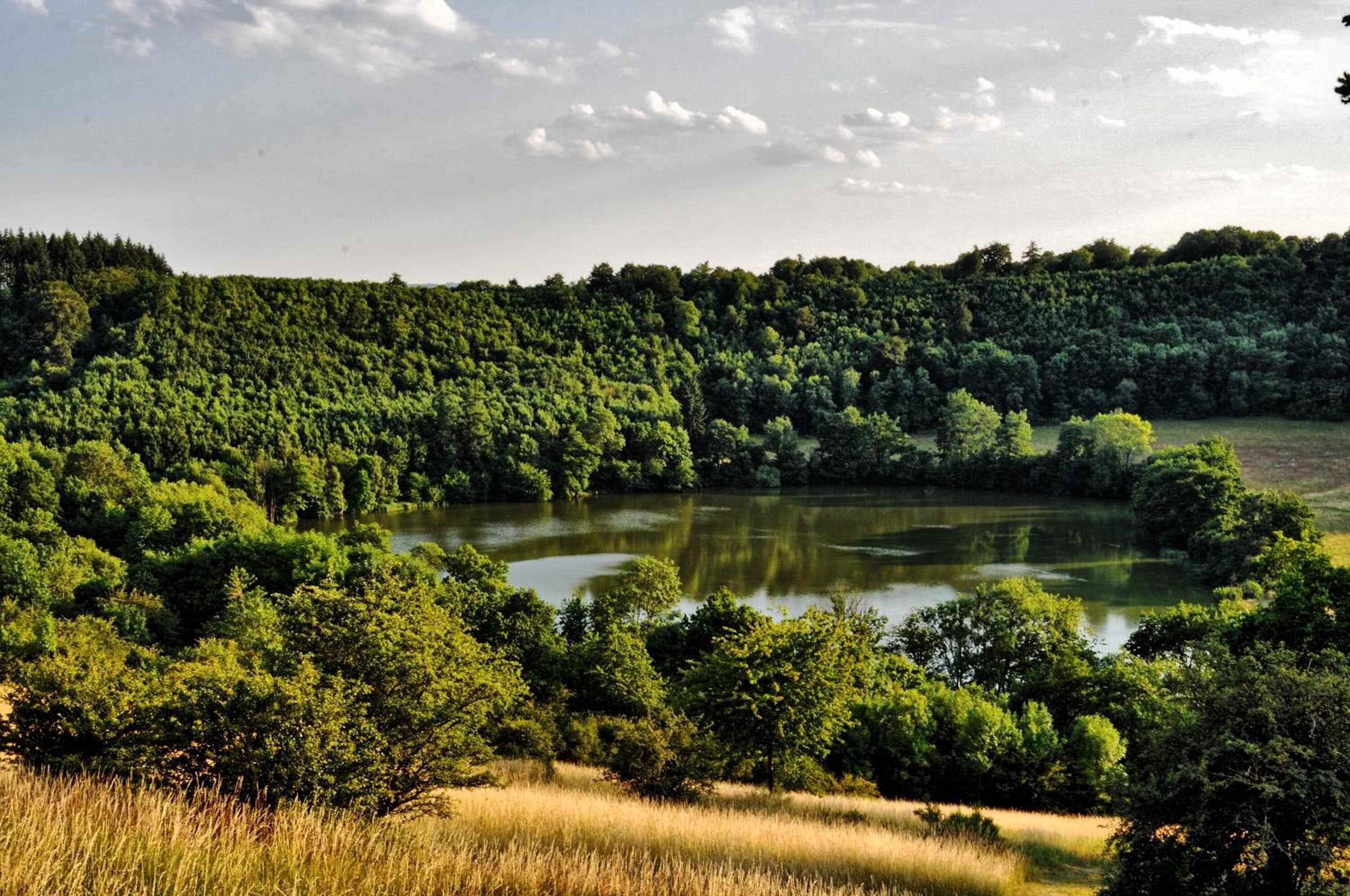Foto - Landhotel Gillenfelder Hof