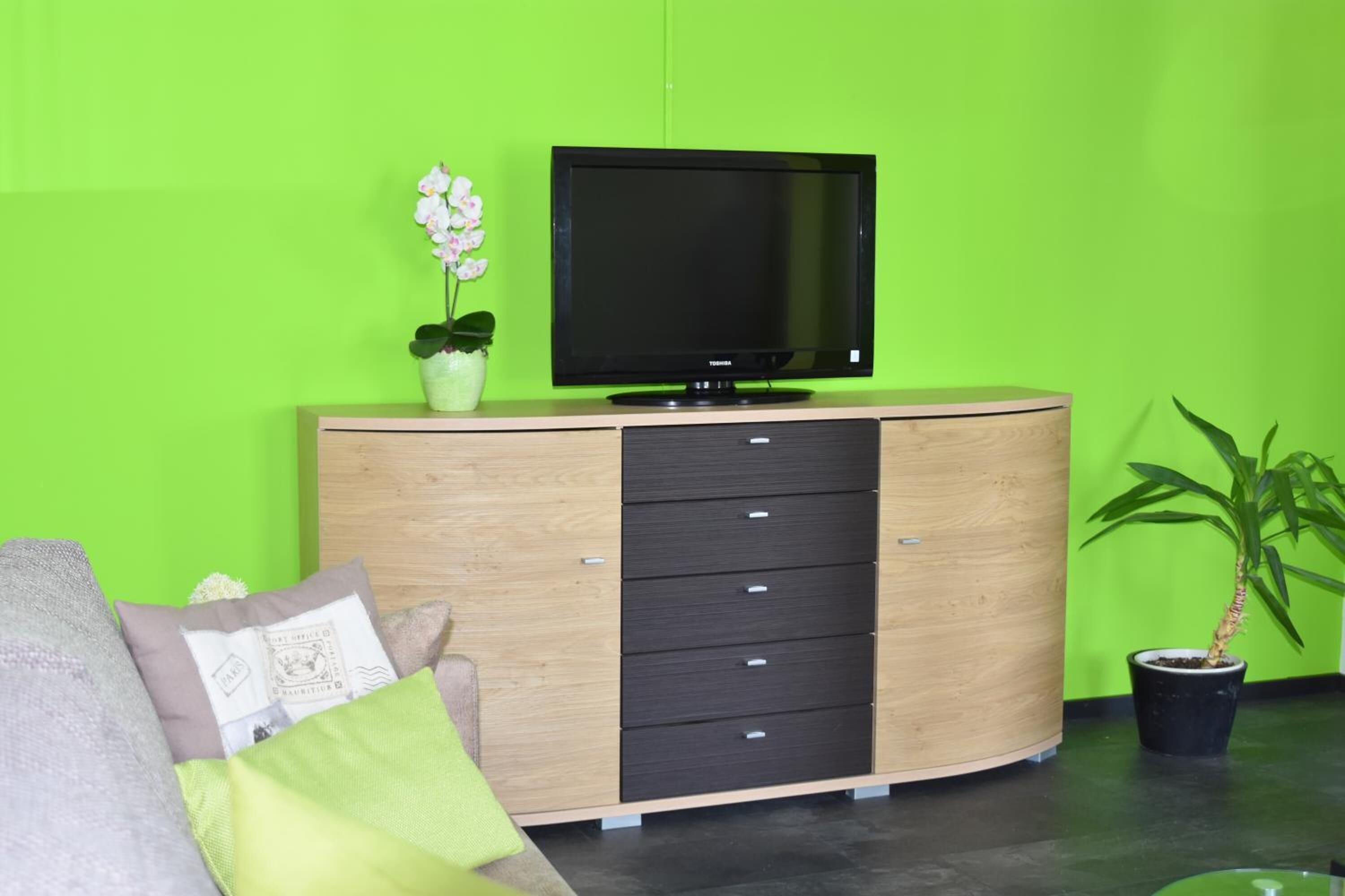 A modern living room with a wooden cabinet, a flat-screen TV, and a potted plant.
