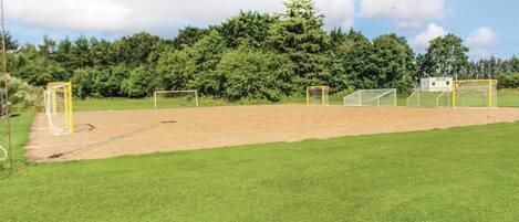 A soccer field with two goals, surrounded by a grassy area and trees.