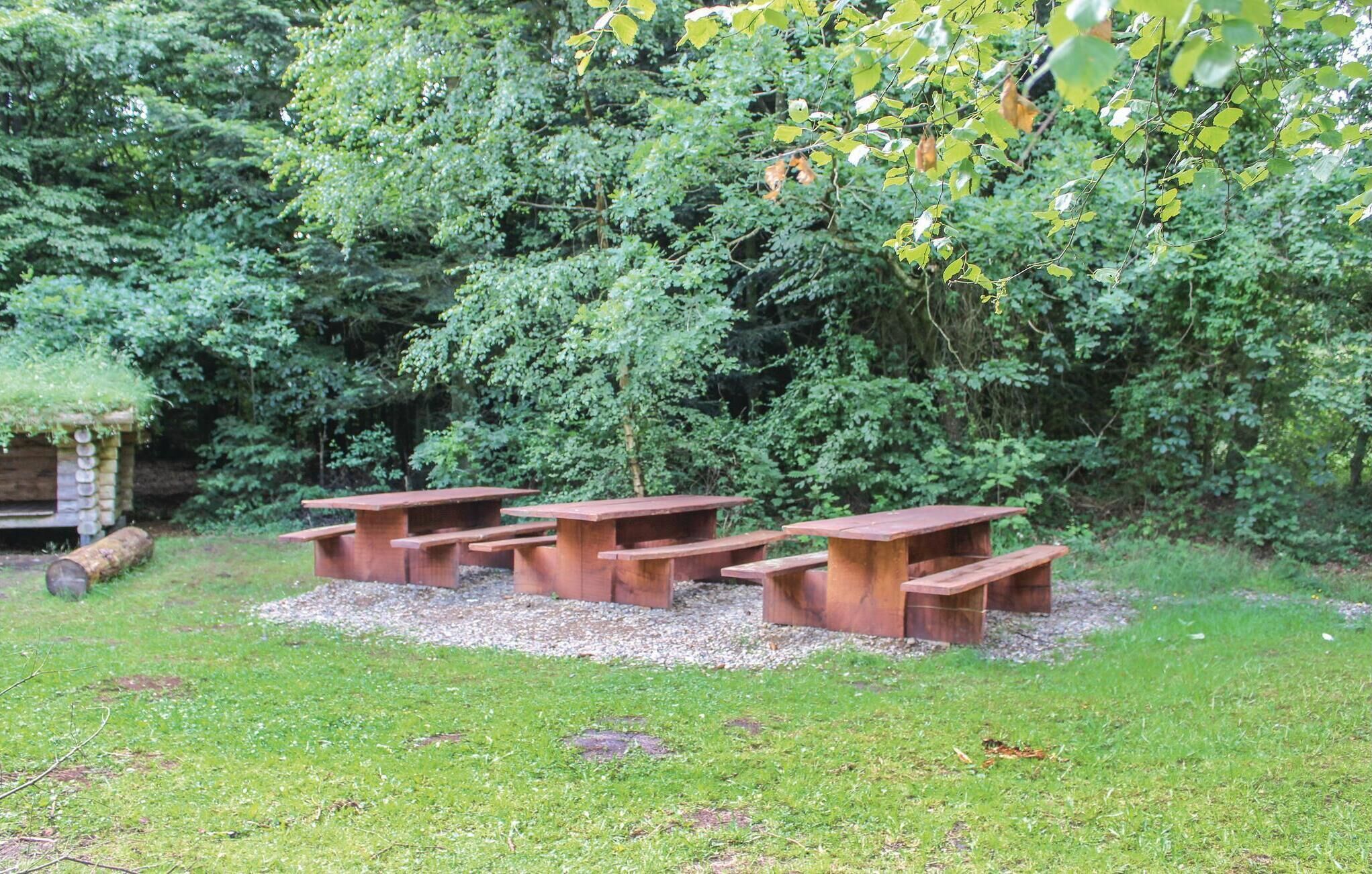 Una mesa de picnic instalada en un área verde con vegetación densa al fondo.