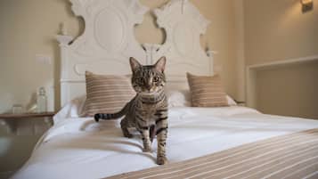 Animaux de compagnie acceptés
