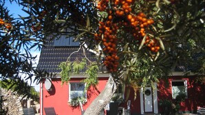 Ein rotes Gebäude mit einem Ziegeldach, ein Baum mit orangefarbenen Beeren und Außenbereich mit Sitzgelegenheiten.