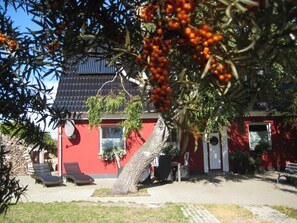 Overnatningsstedets område