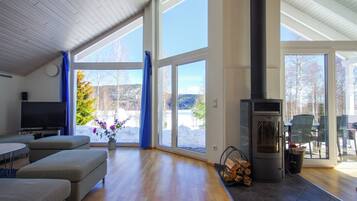 Smart TV, chimenea, libros