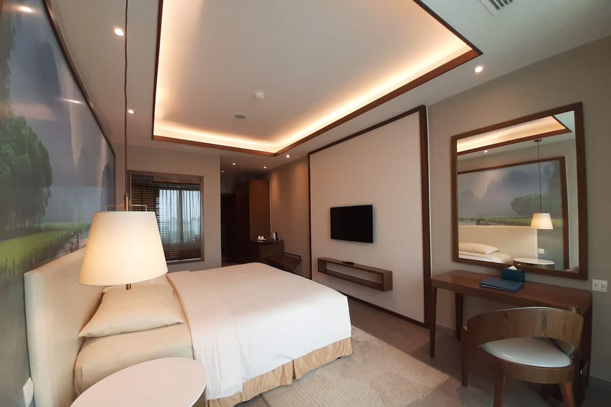 A modern hotel room with a large bed, bedside tables, a TV, and a mirror.