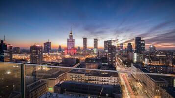 Presidential Suite | View from room