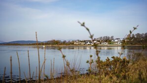 A lakeside view with houses in the background.