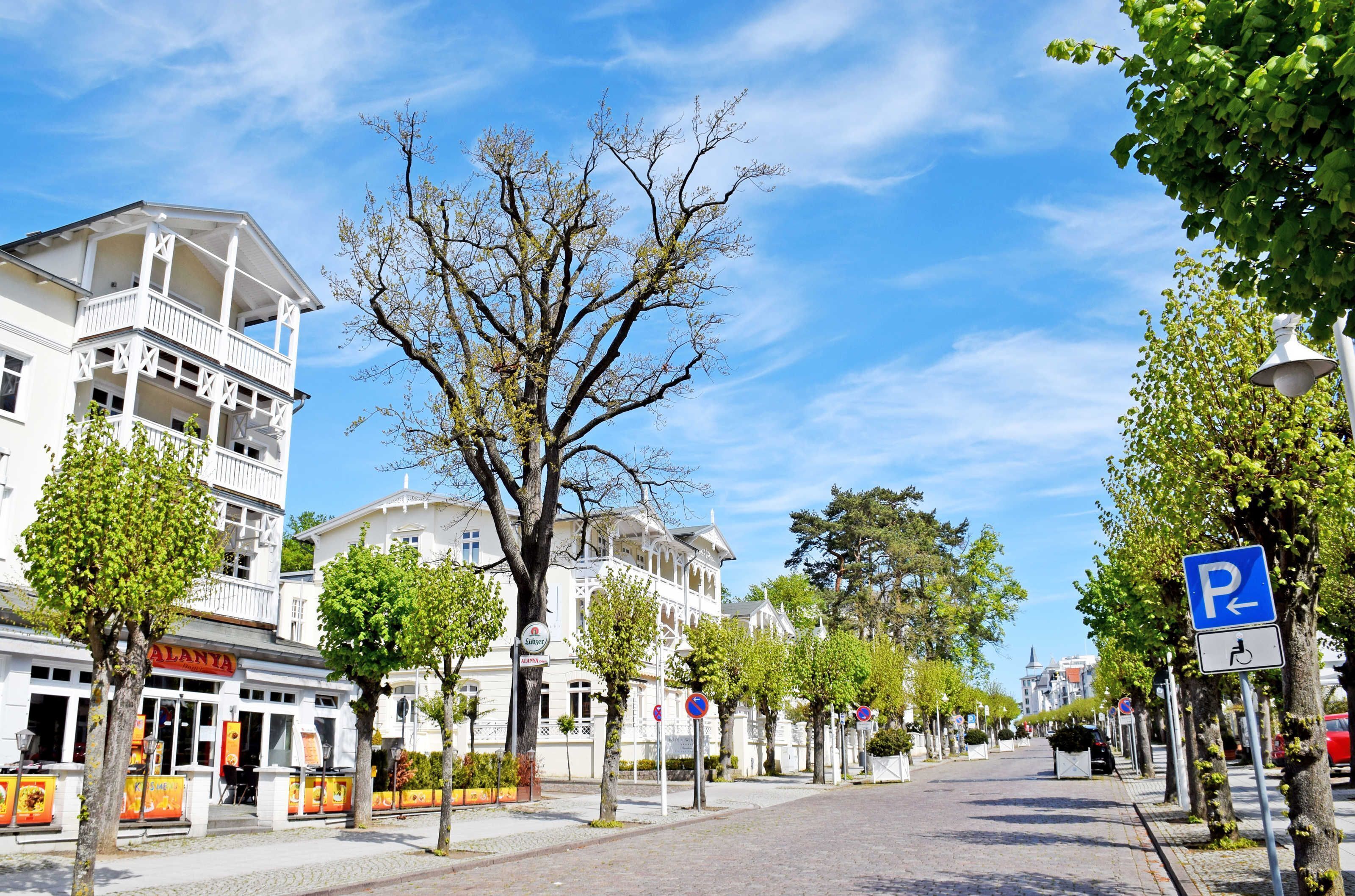 A street lined with trees and buildings, including a white building with balconies and a sign that reads 'PALANTA'.
