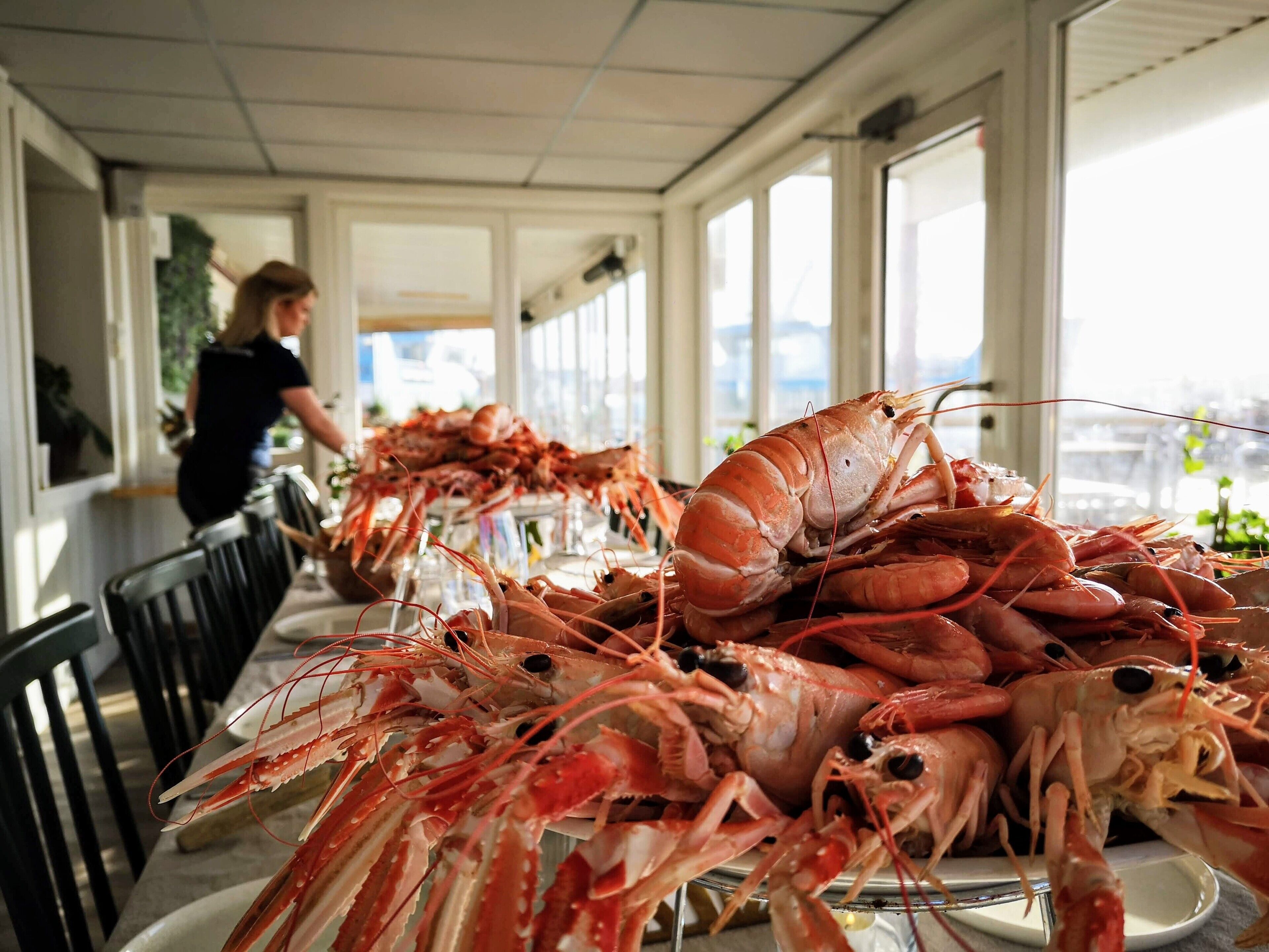 breakfast, lunch, dinner served; international cuisine