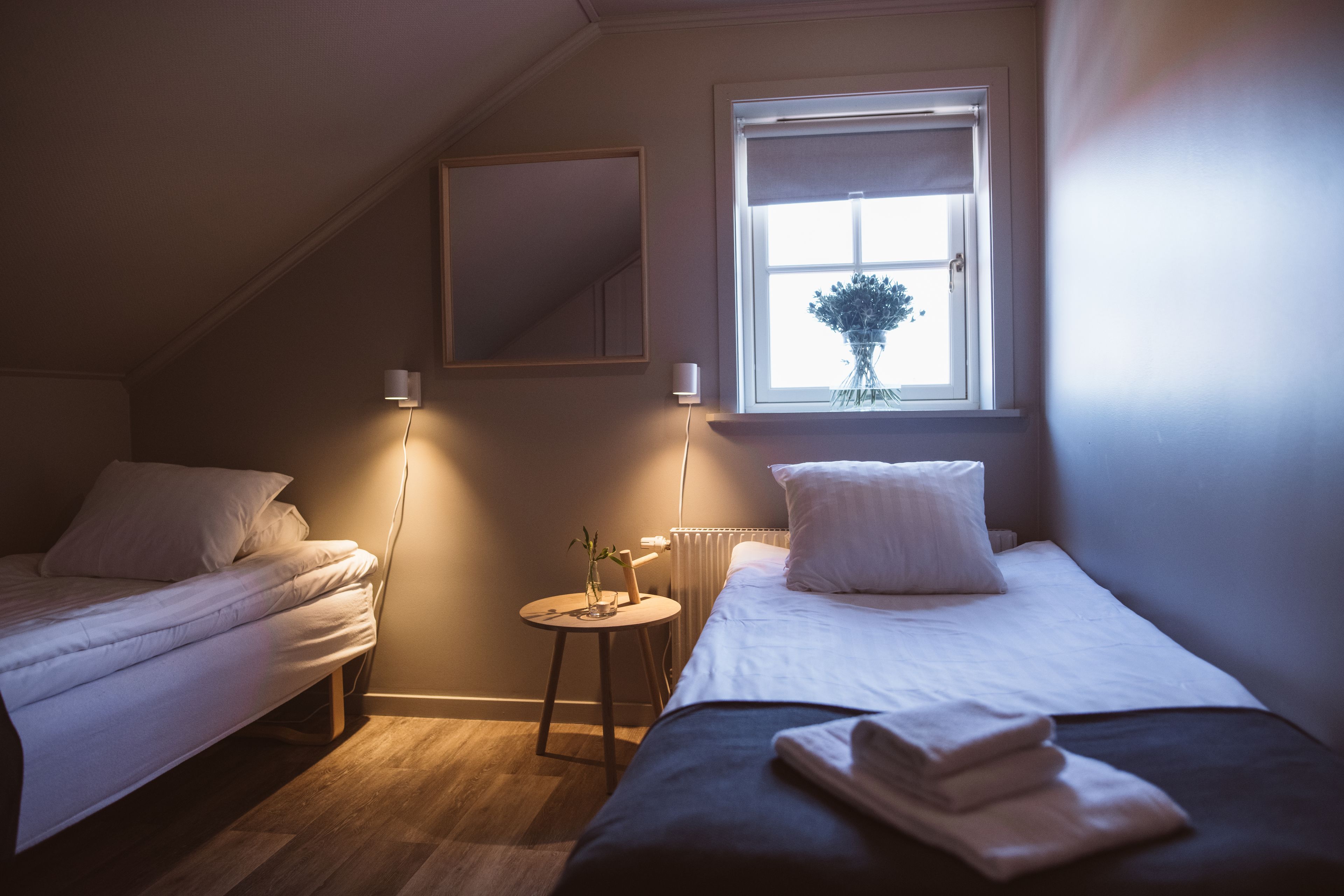 standard double room, 2 single beds | iron/ironing board, free wifi, bed sheets