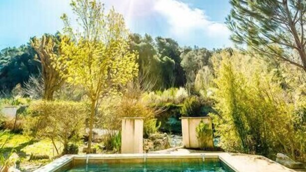 A rectangular swimming pool with clear blue water, surrounded by lush greenery and trees. - House with pool and river access (Fontaine-de-Vaucluse)