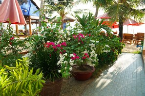 Garden - Phuong Binh House (Phu Quoc)