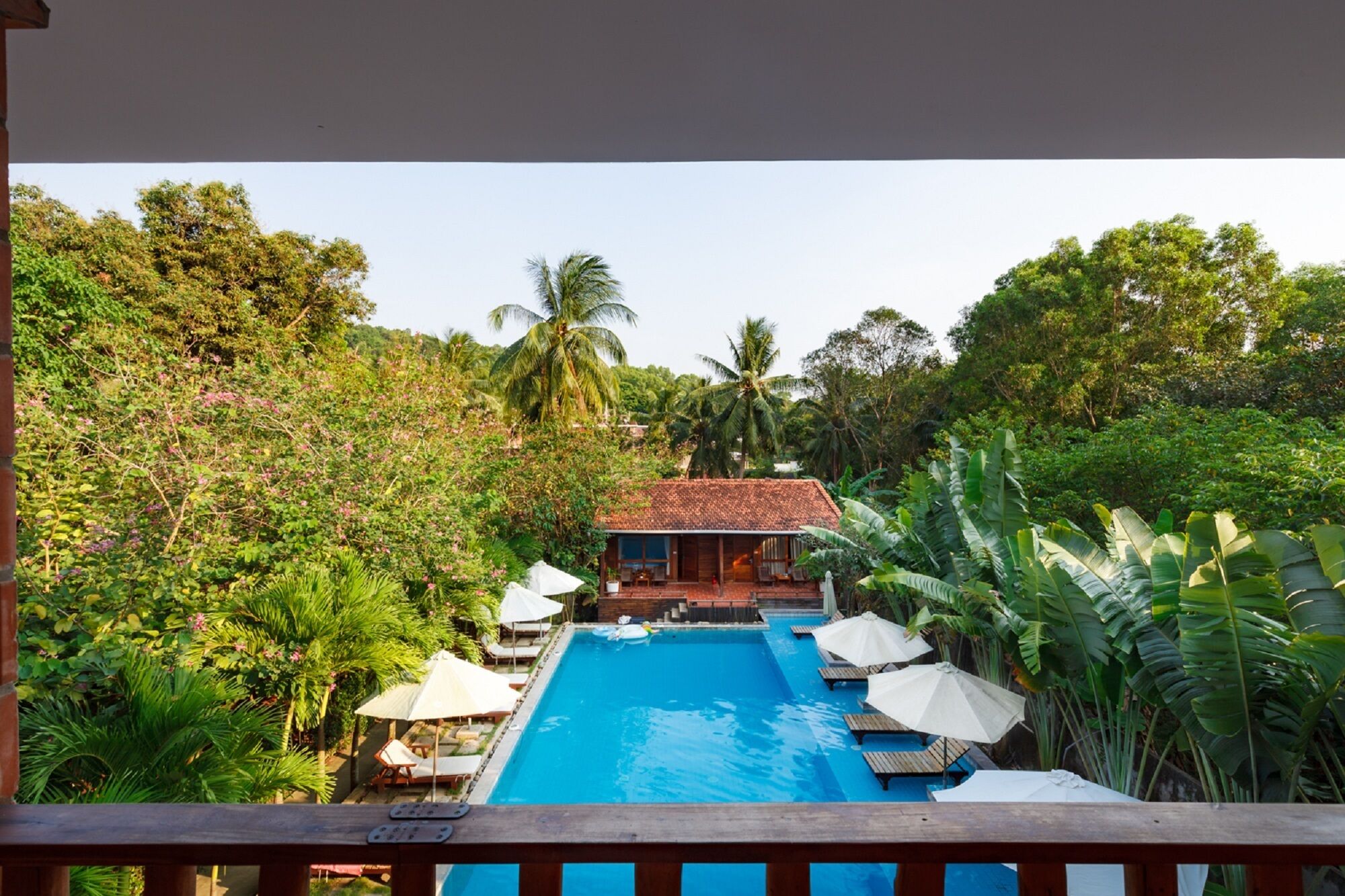 A swimming pool with lounge chairs and umbrellas, surrounded by lush greenery and palm trees.
