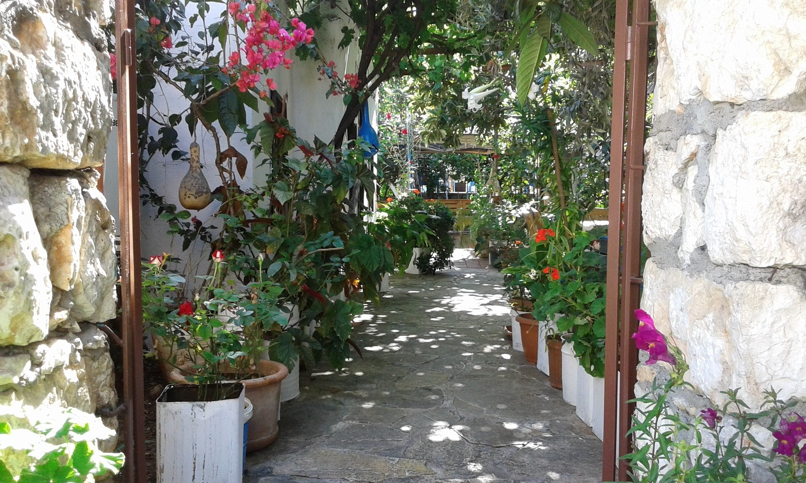 庭園