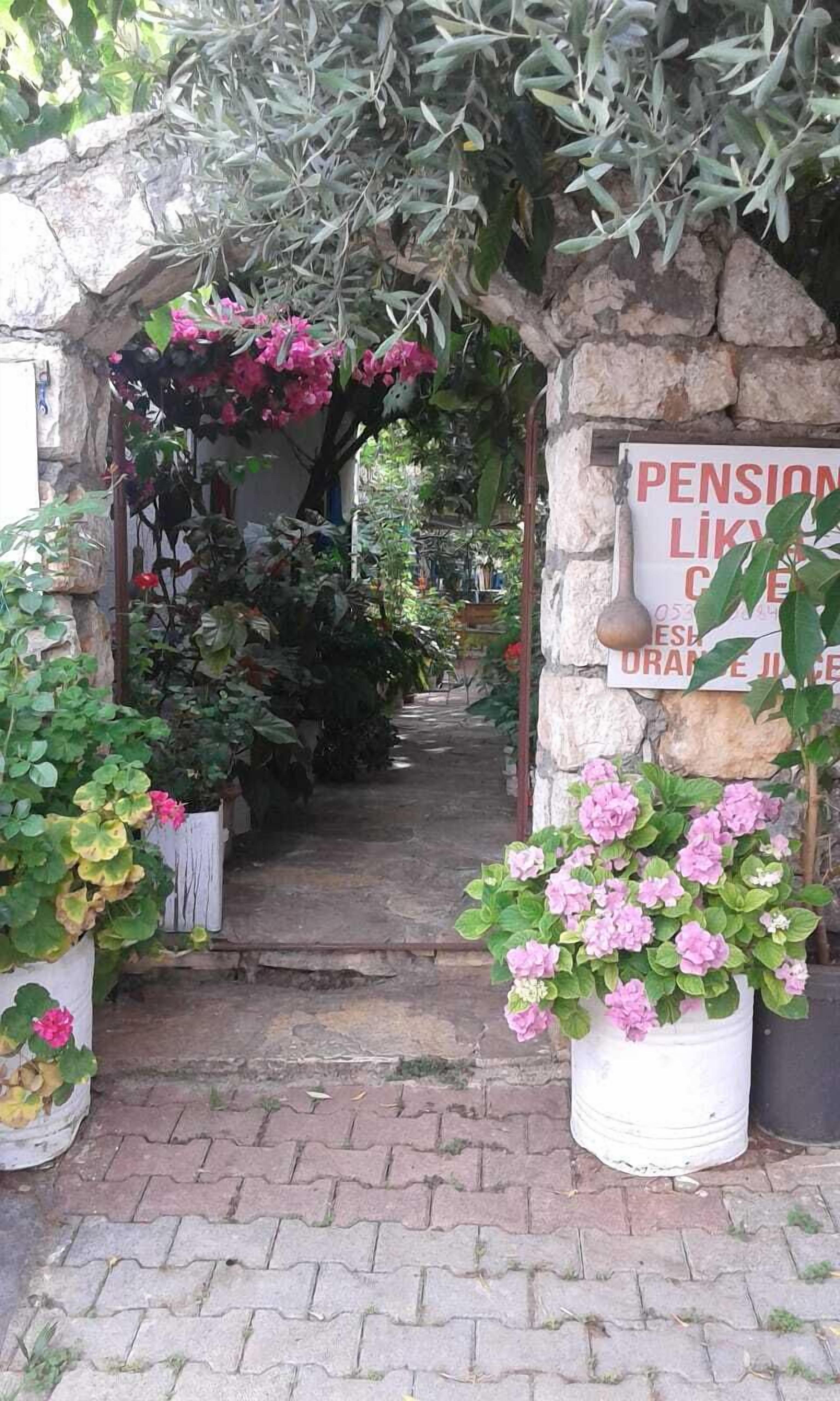 Un arco de piedra que da paso a un jardín con plantas en macetas y un cartel que anuncia zumo de naranja fresco.
