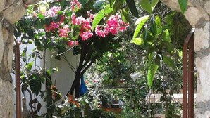 Ein Gartenpfad im Freien mit Steinmauern und Topfpflanzen.